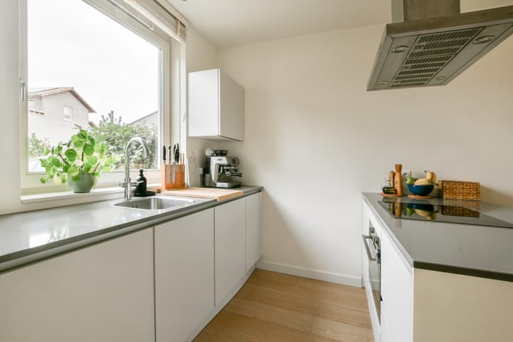 Foto 9 van Sterduinstraat 133