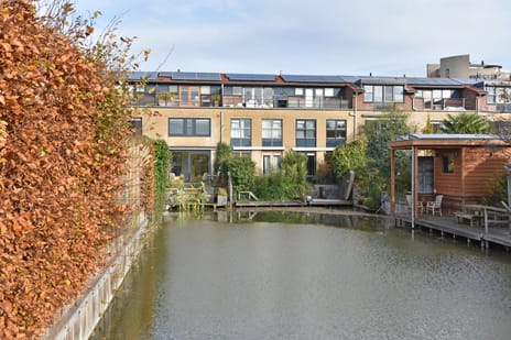 undefined main image