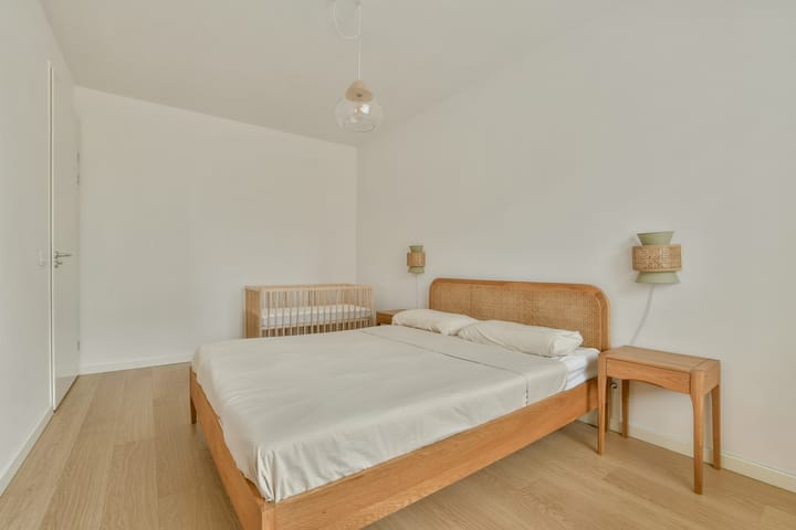 Foto 21 van Sterduinstraat 133