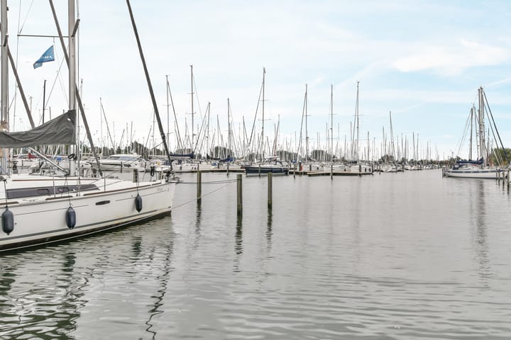 Foto 48 van Sterduinstraat 133