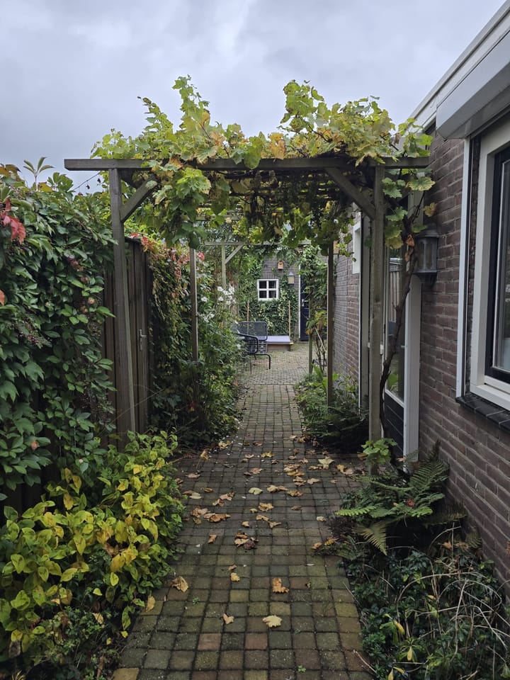 Foto 13 van Van Meterenstraat 24