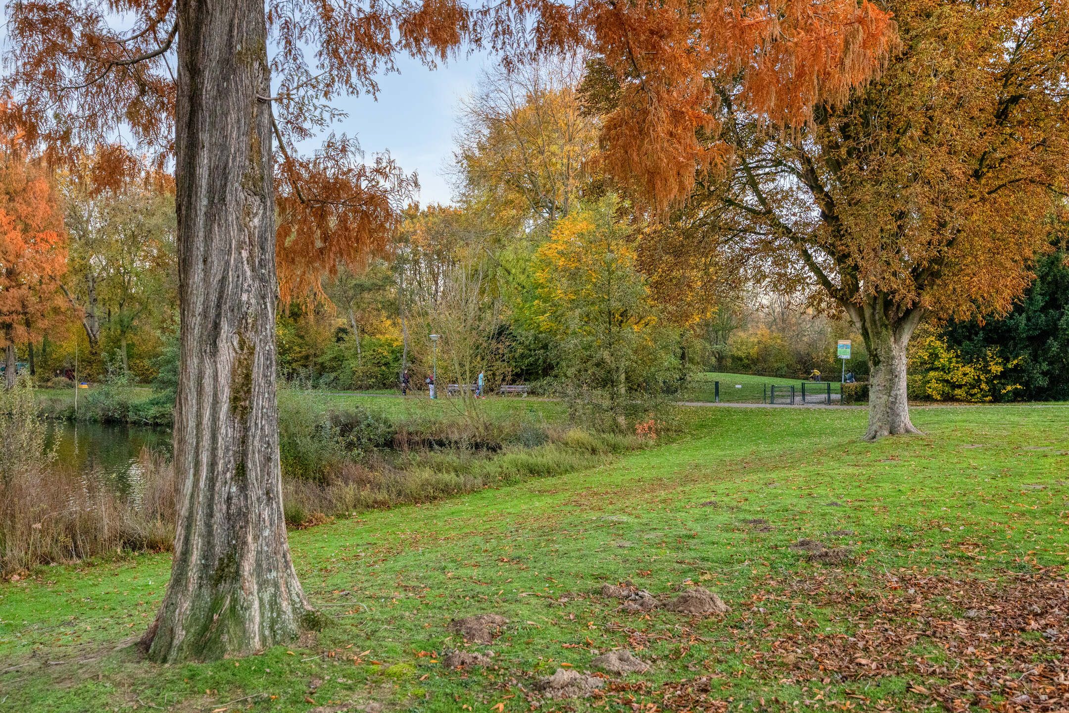 Photo 39 of Schouwenlaan 16