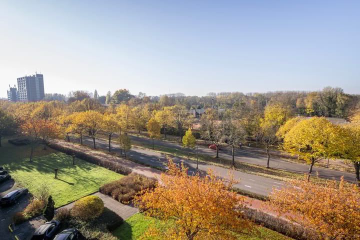 Photo 22 of Holysingel 590