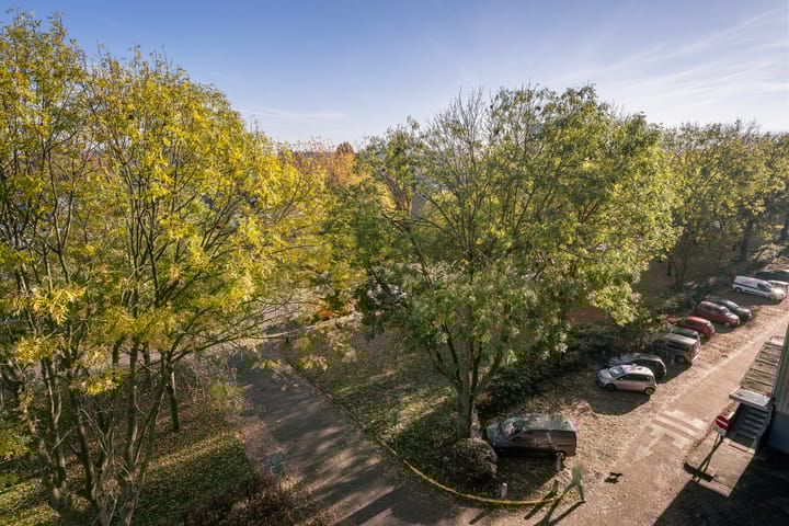 Photo 35 of Holysingel 590