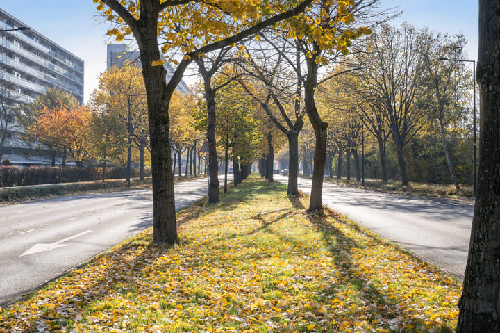 Photo 37 of Holysingel 590