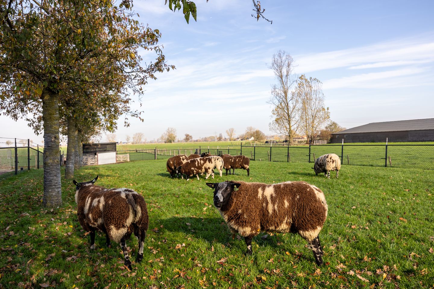 Foto 64 van Lawickse Allee 220-B