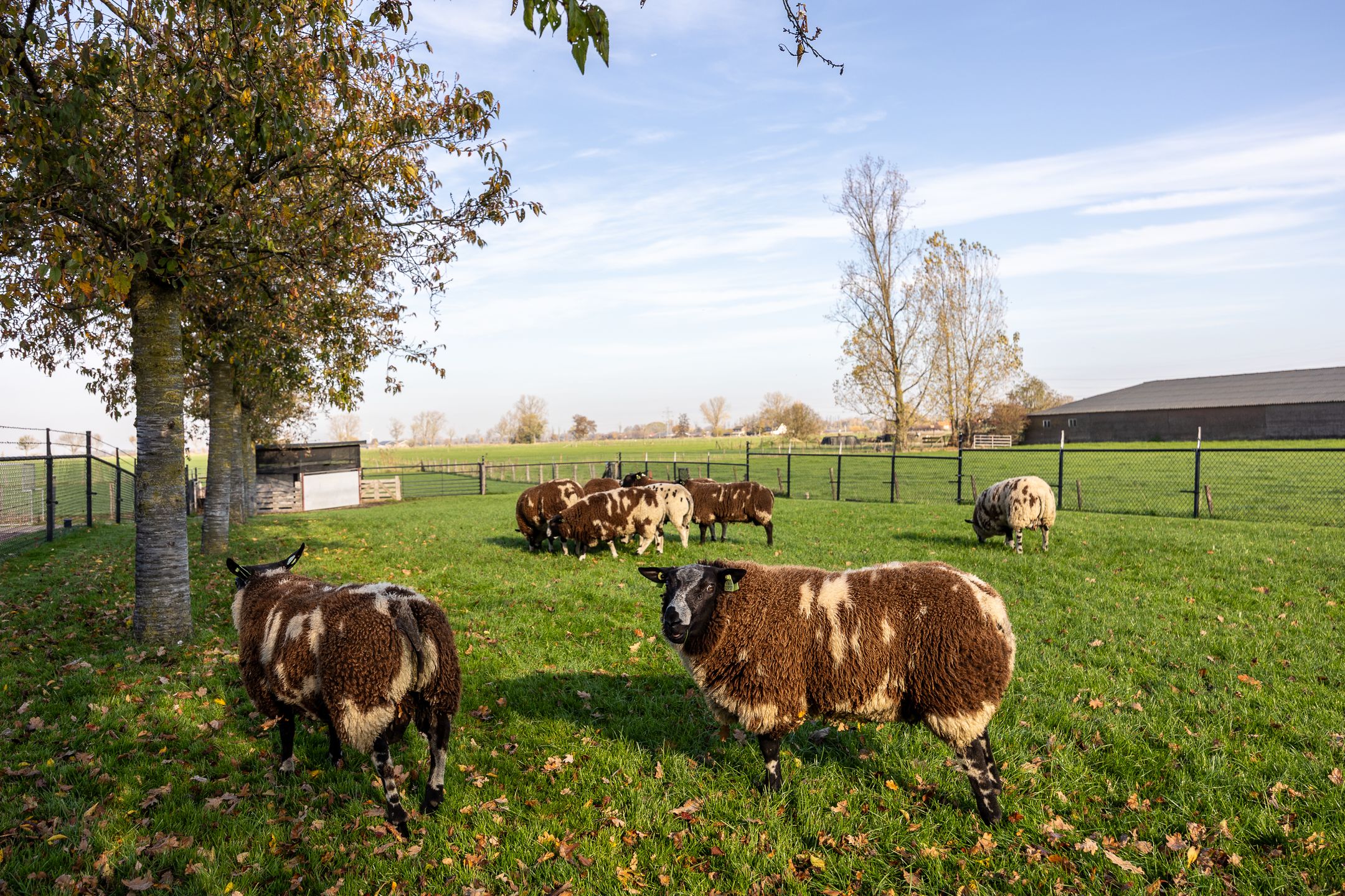 Foto 63 van Lawickse Allee 220-B