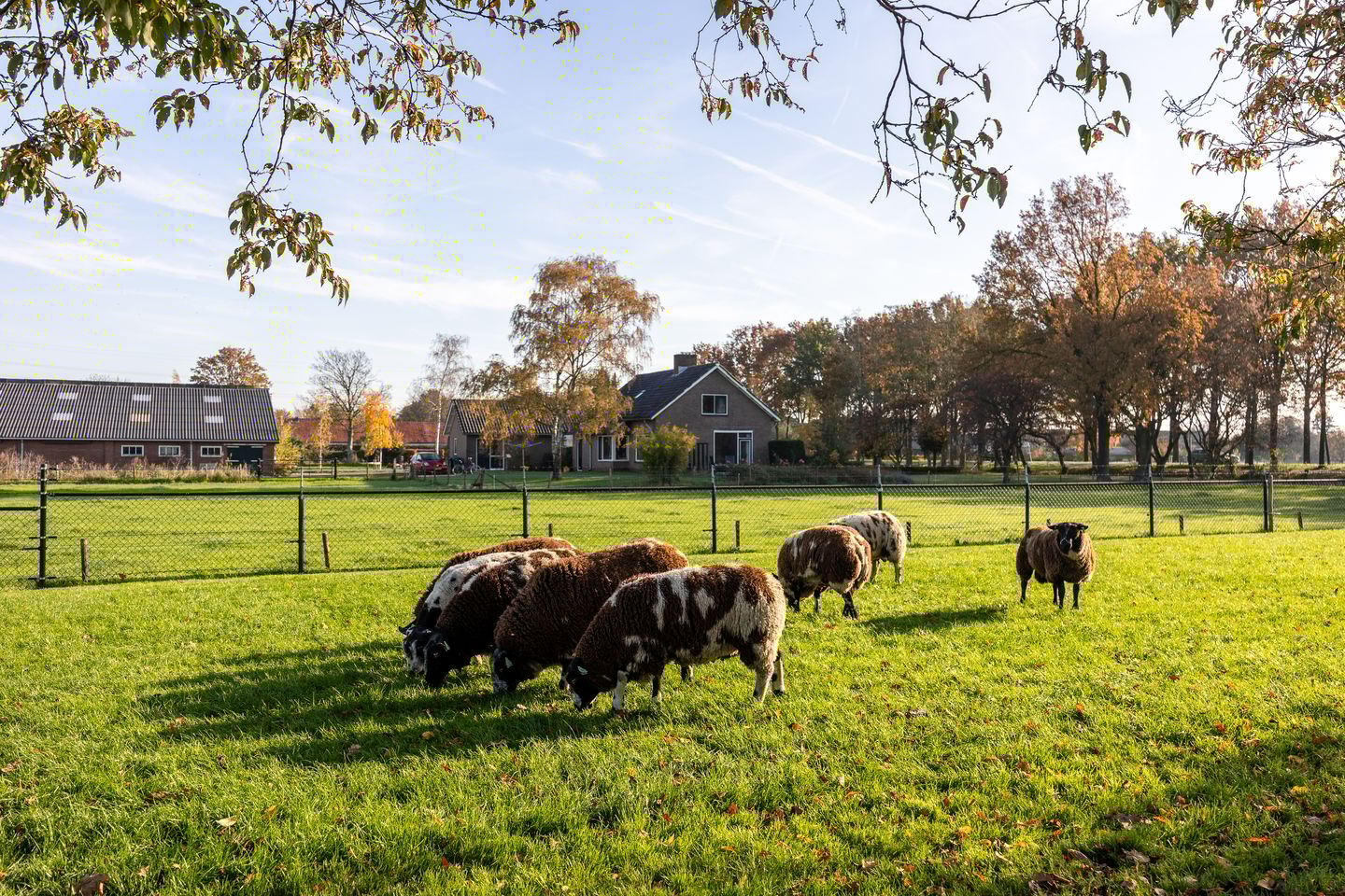 Foto 65 van Lawickse Allee 220-B