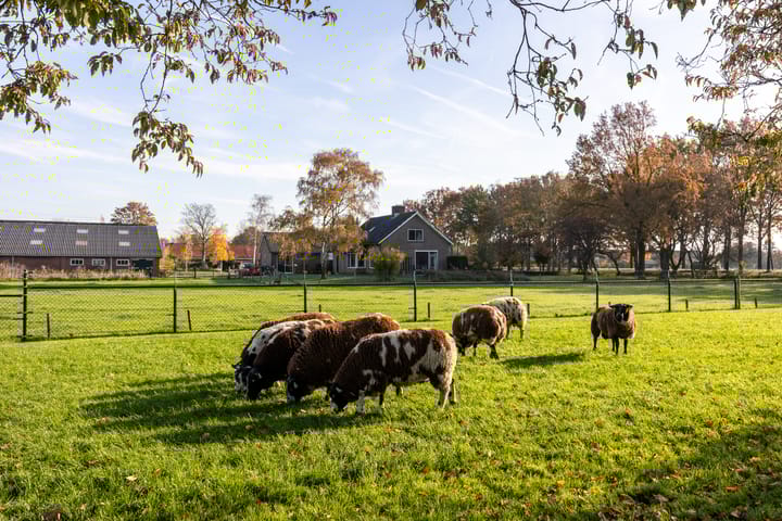 Foto 64 van Lawickse Allee 220-B