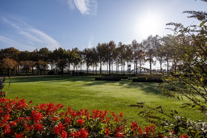 Foto 80 van Lawickse Allee 220-B