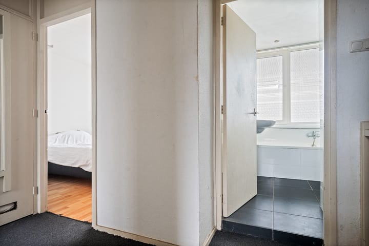 Photo 30 of Hazepad 11