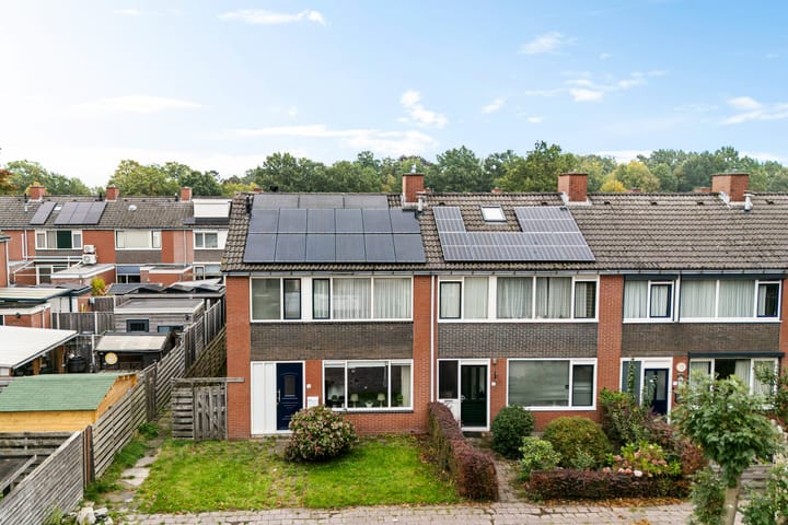 Photo 39 of Hazepad 11