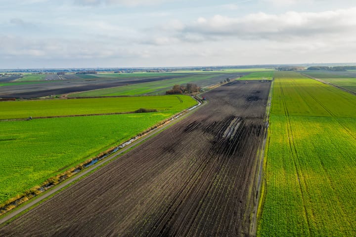 Foto 37 van Wildervanksterdallen 31