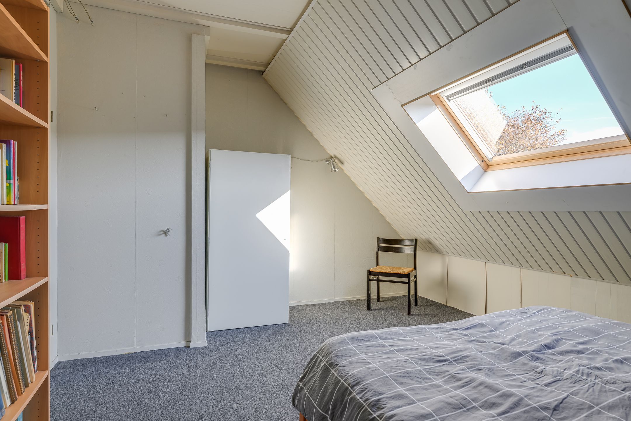 Photo 27 of Paardenbloem 30