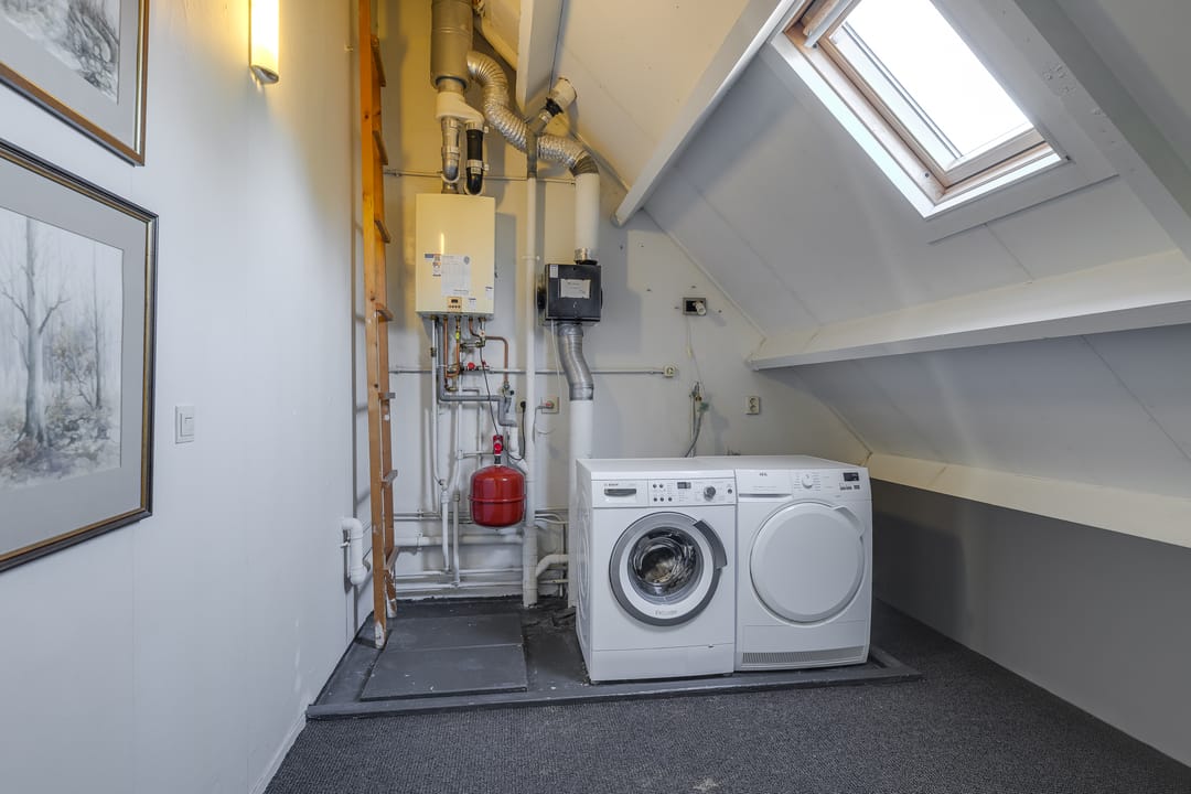 Photo 28 of Paardenbloem 30