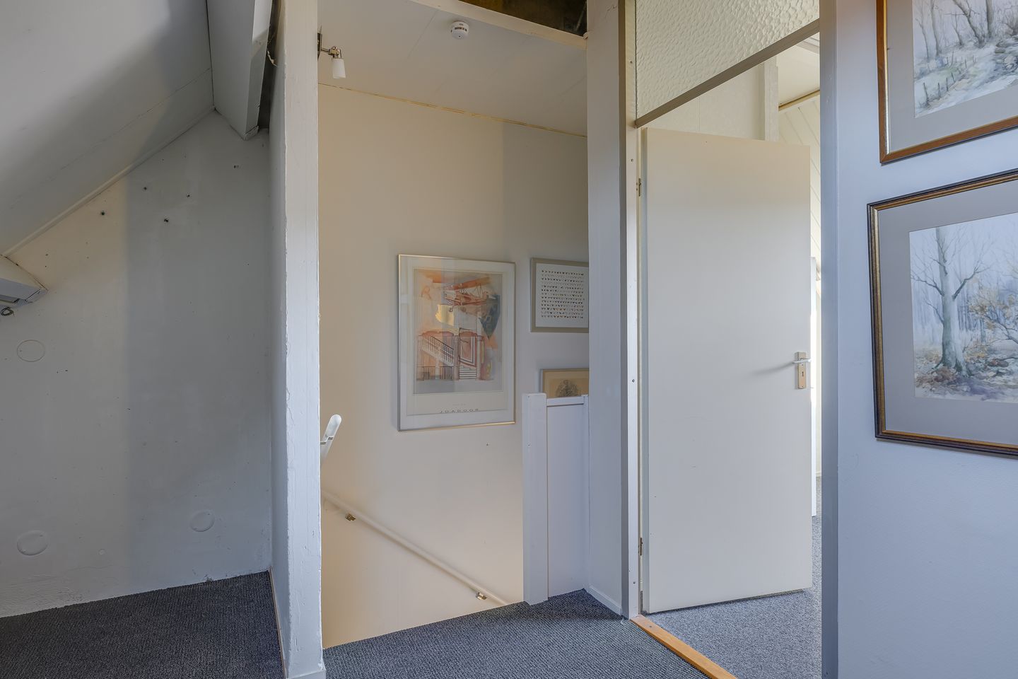 Photo 29 of Paardenbloem 30