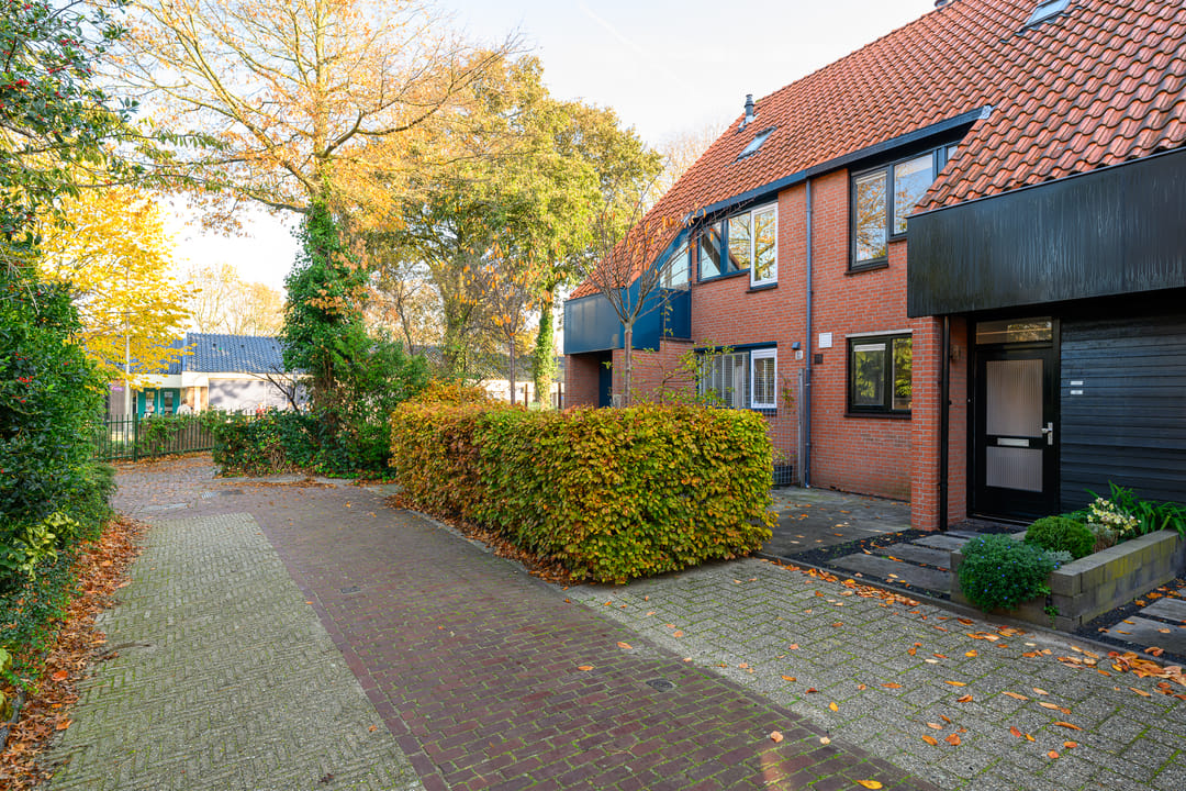 Photo 31 of Paardenbloem 30