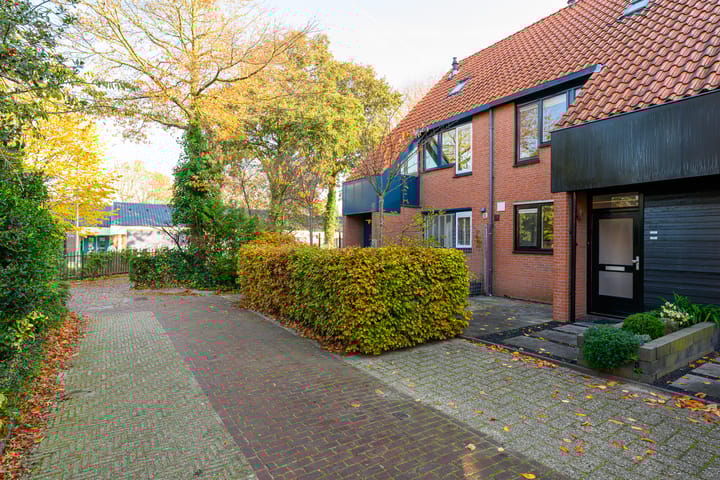 Foto 31 van Paardenbloem 30