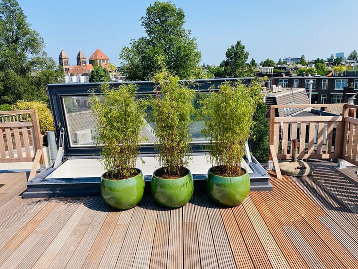 Foto 12 van Willemsparkweg 156-2