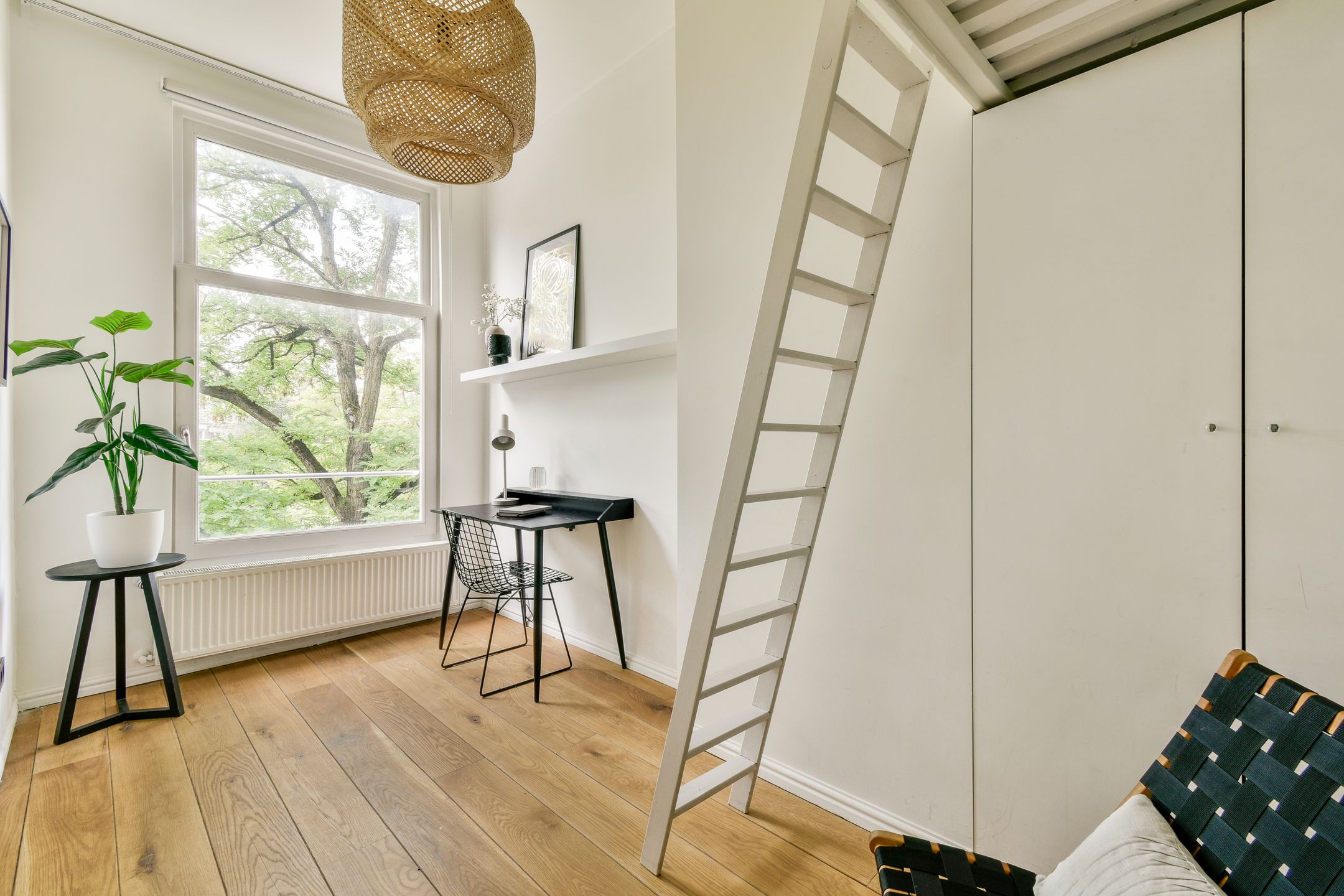 Foto 30 van Willemsparkweg 156-3