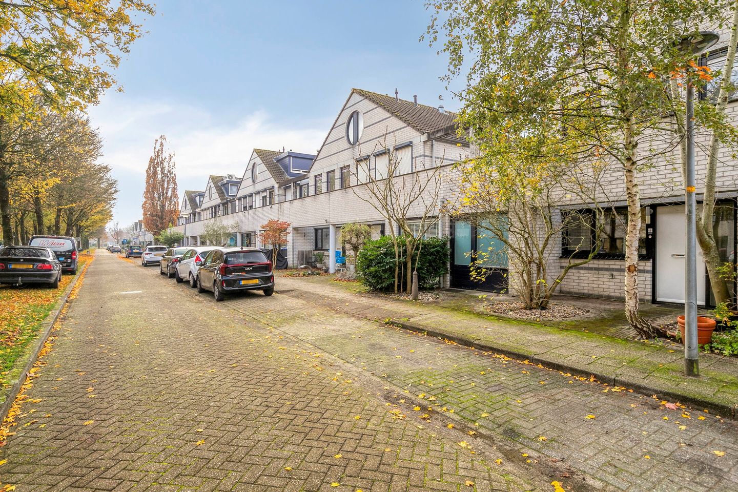 Foto 4 van Dalkruid 8