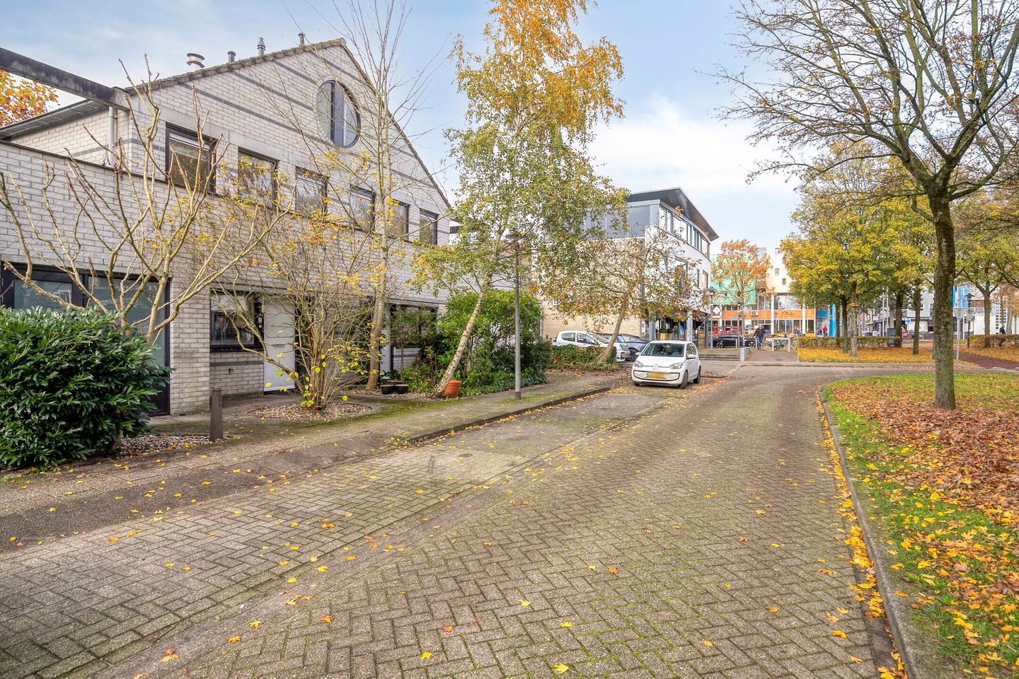 Foto 5 van Dalkruid 8