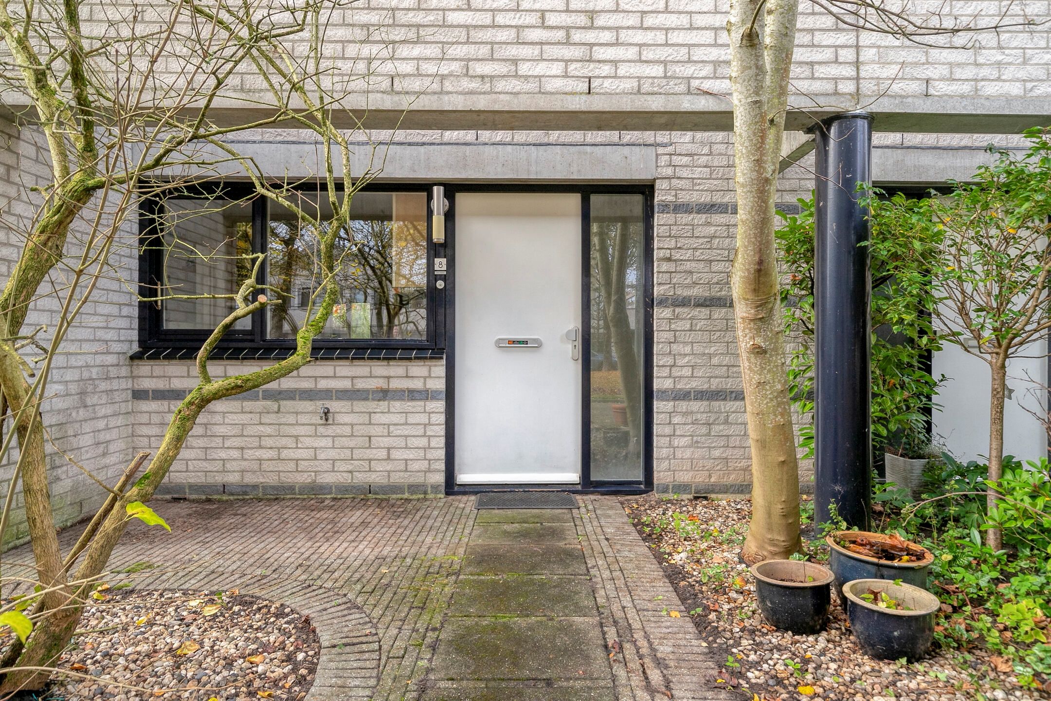 Foto 6 van Dalkruid 8