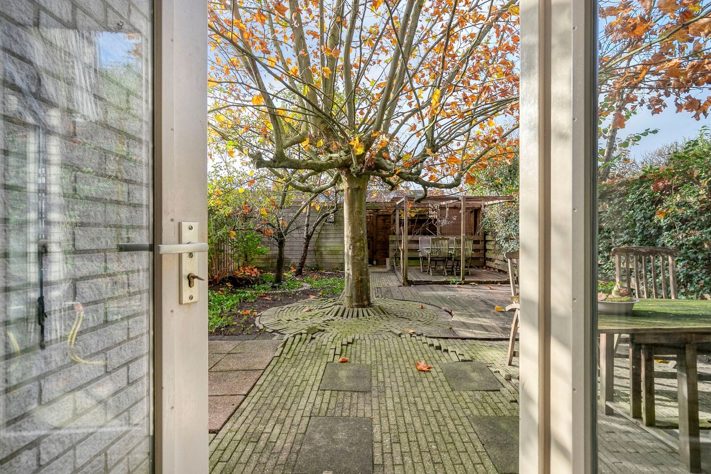 Foto 35 van Dalkruid 8