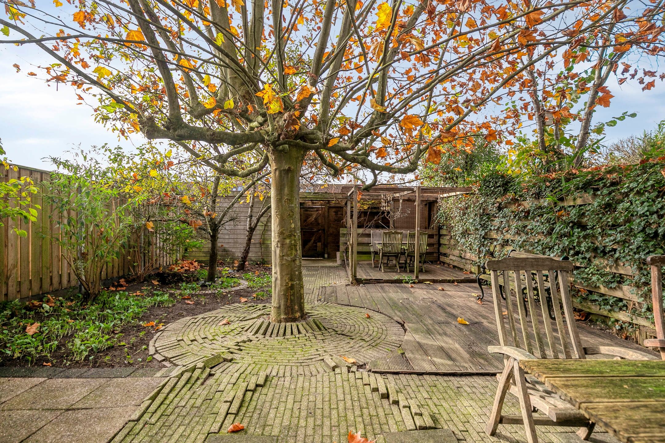 Foto 36 van Dalkruid 8