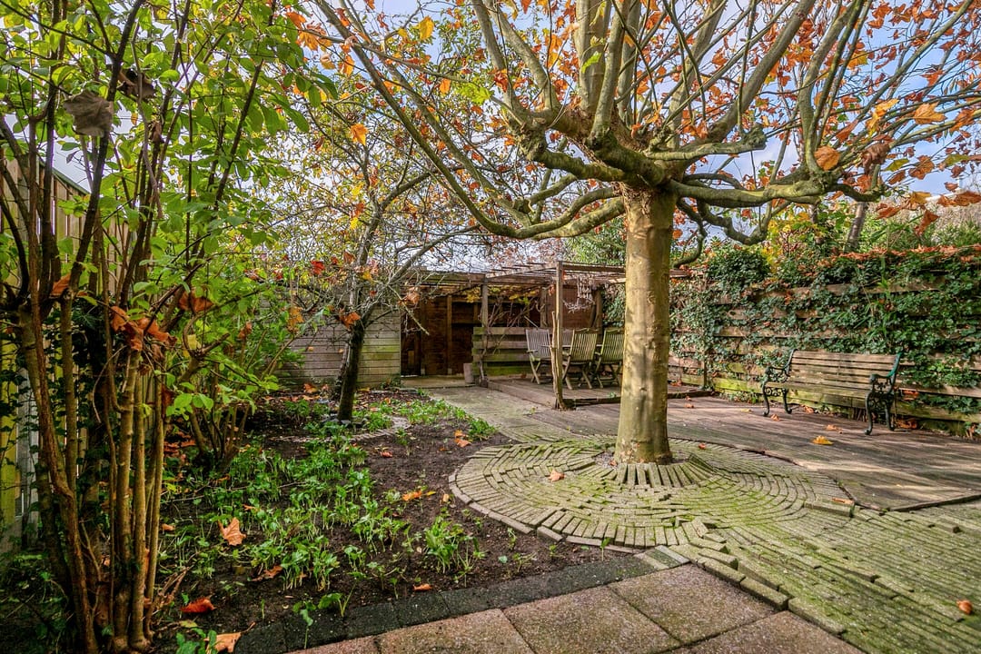 Foto 37 van Dalkruid 8