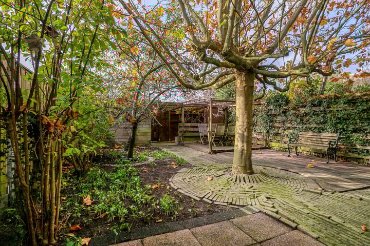 Foto 37 van Dalkruid 8