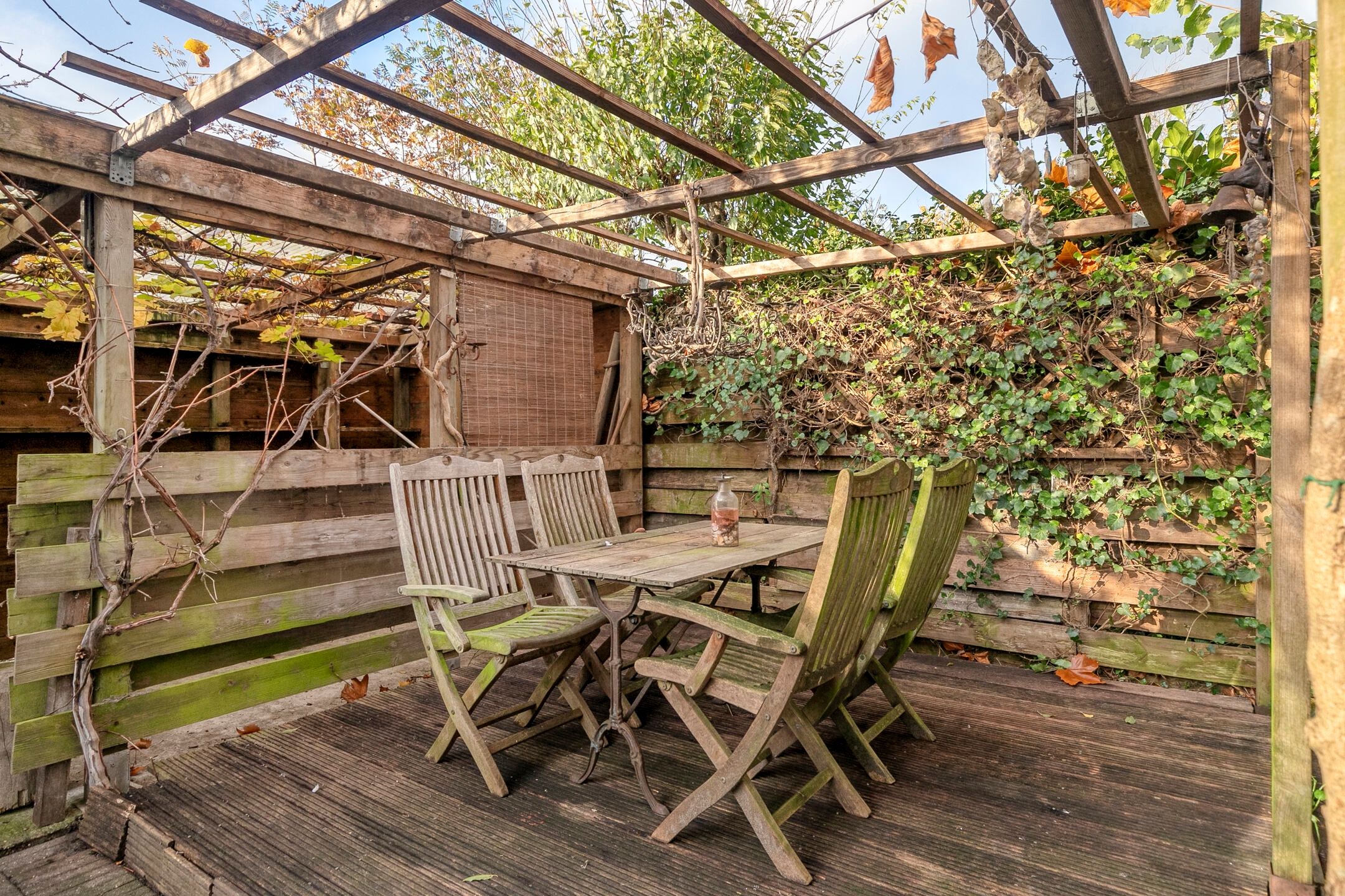 Foto 39 van Dalkruid 8