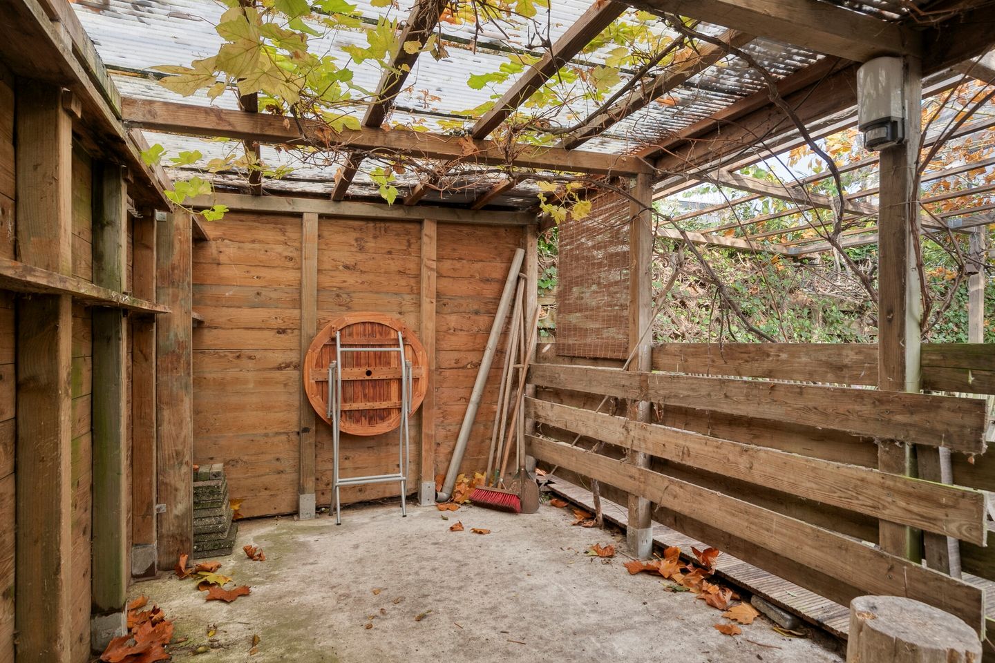 Foto 40 van Dalkruid 8