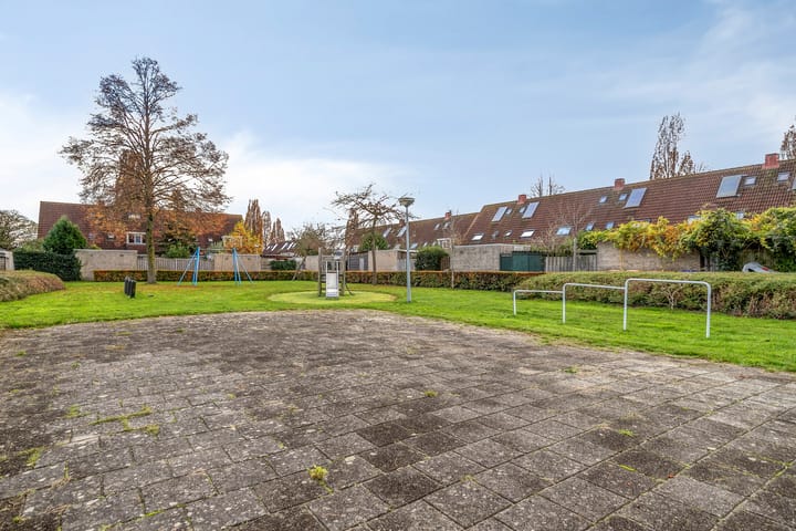 Foto 43 van Dalkruid 8