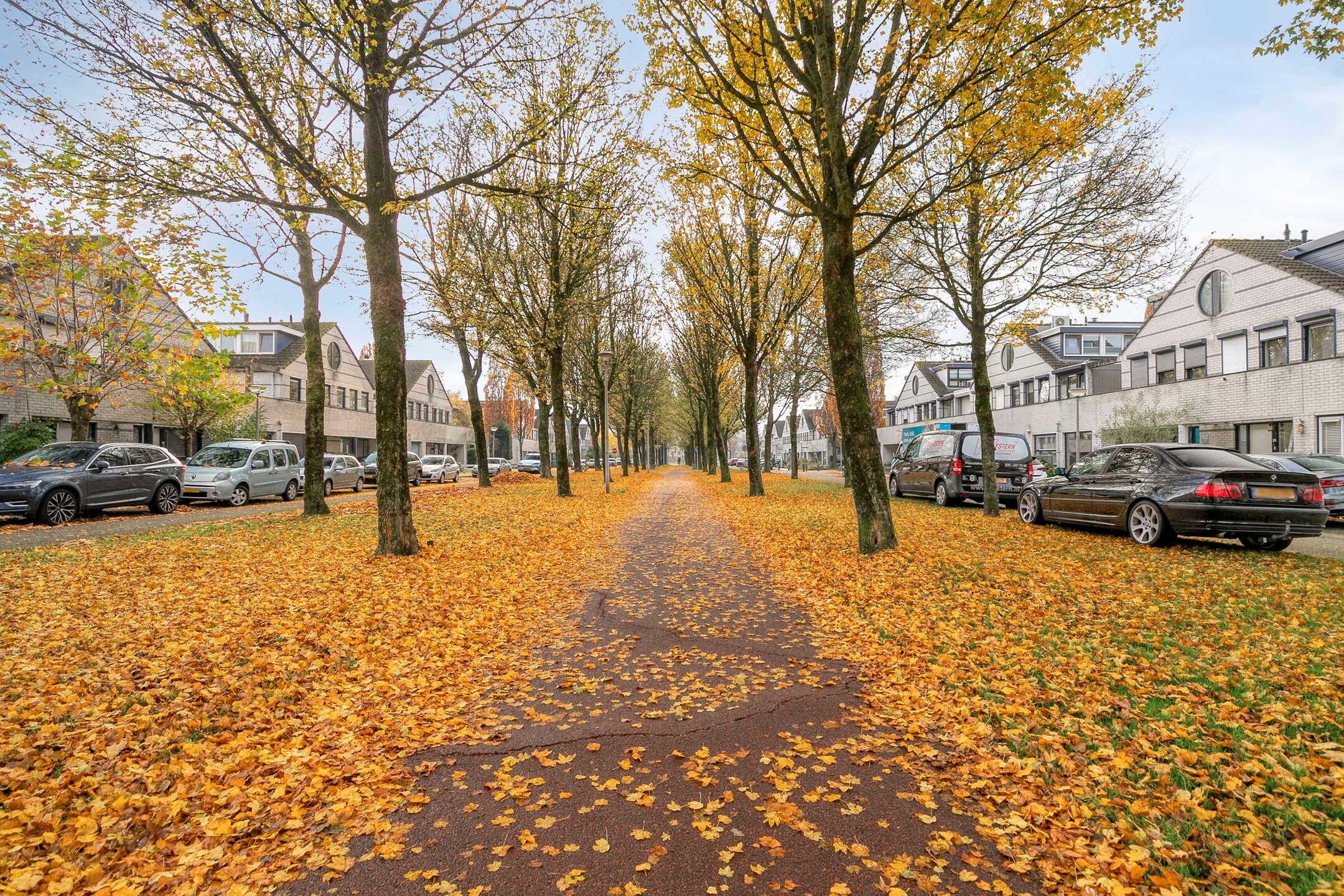 Foto 45 van Dalkruid 8