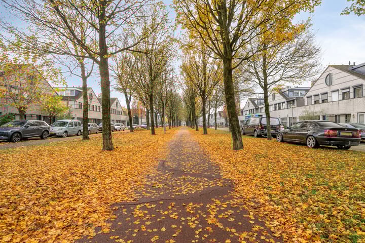 Foto 45 van Dalkruid 8