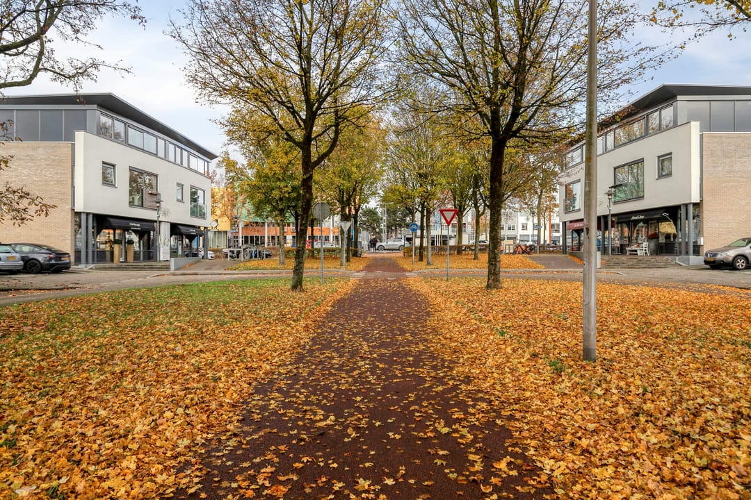 Foto 46 van Dalkruid 8