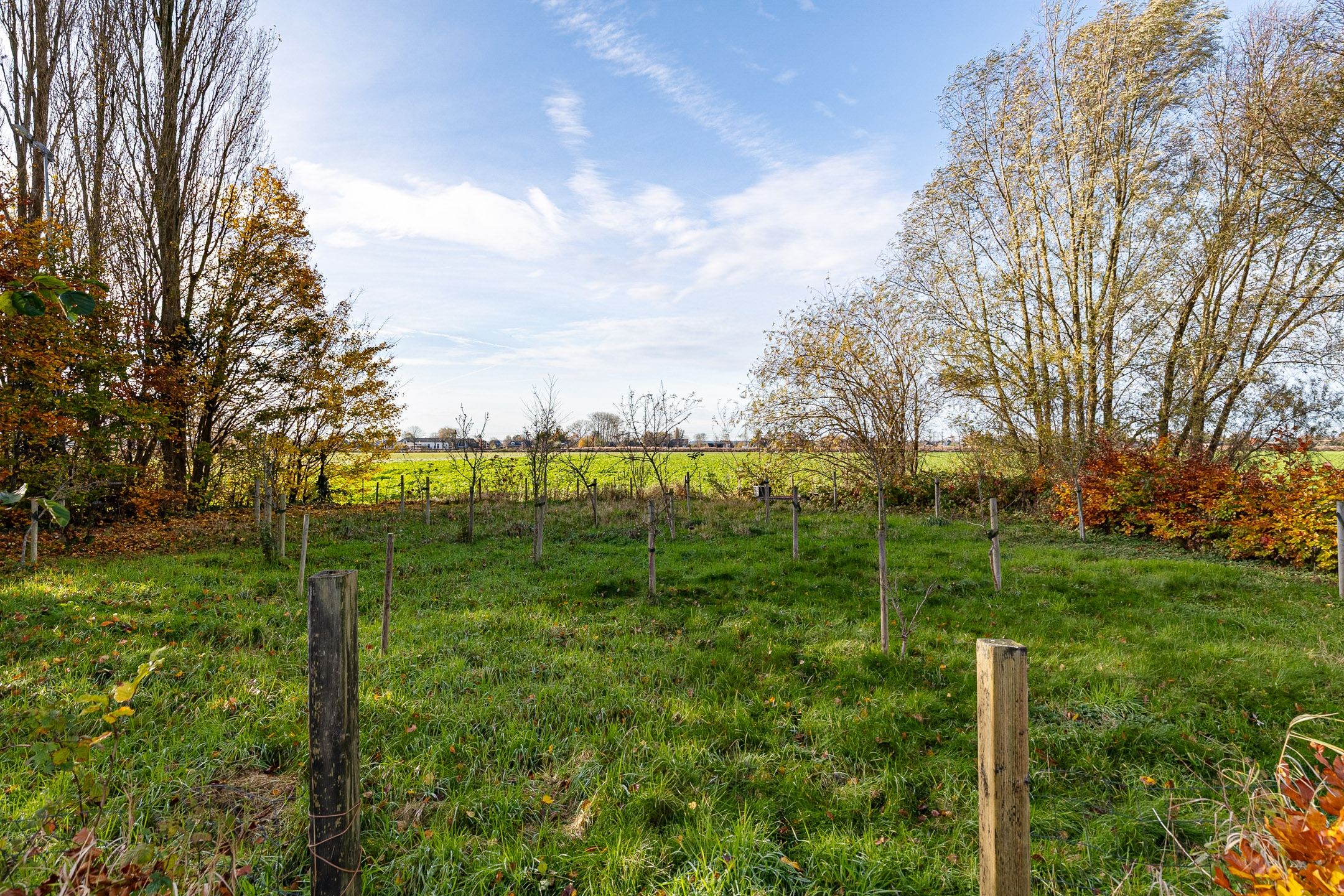 Photo 24 of Rijksstraatweg 15