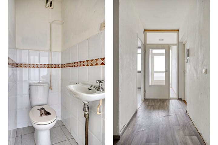 Foto 10 van de Koppele 567