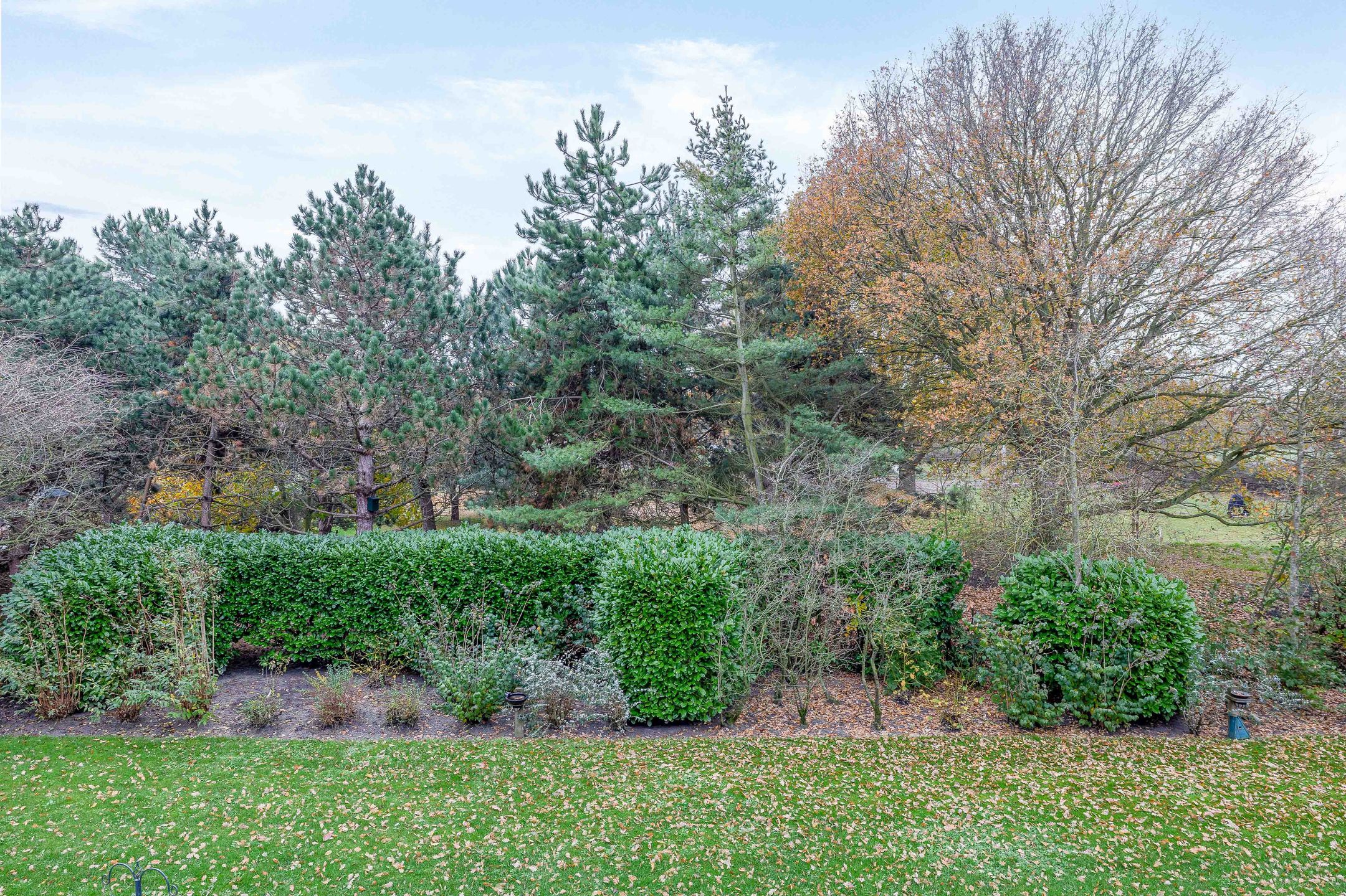 Foto 24 van Dorpsweg 41-12