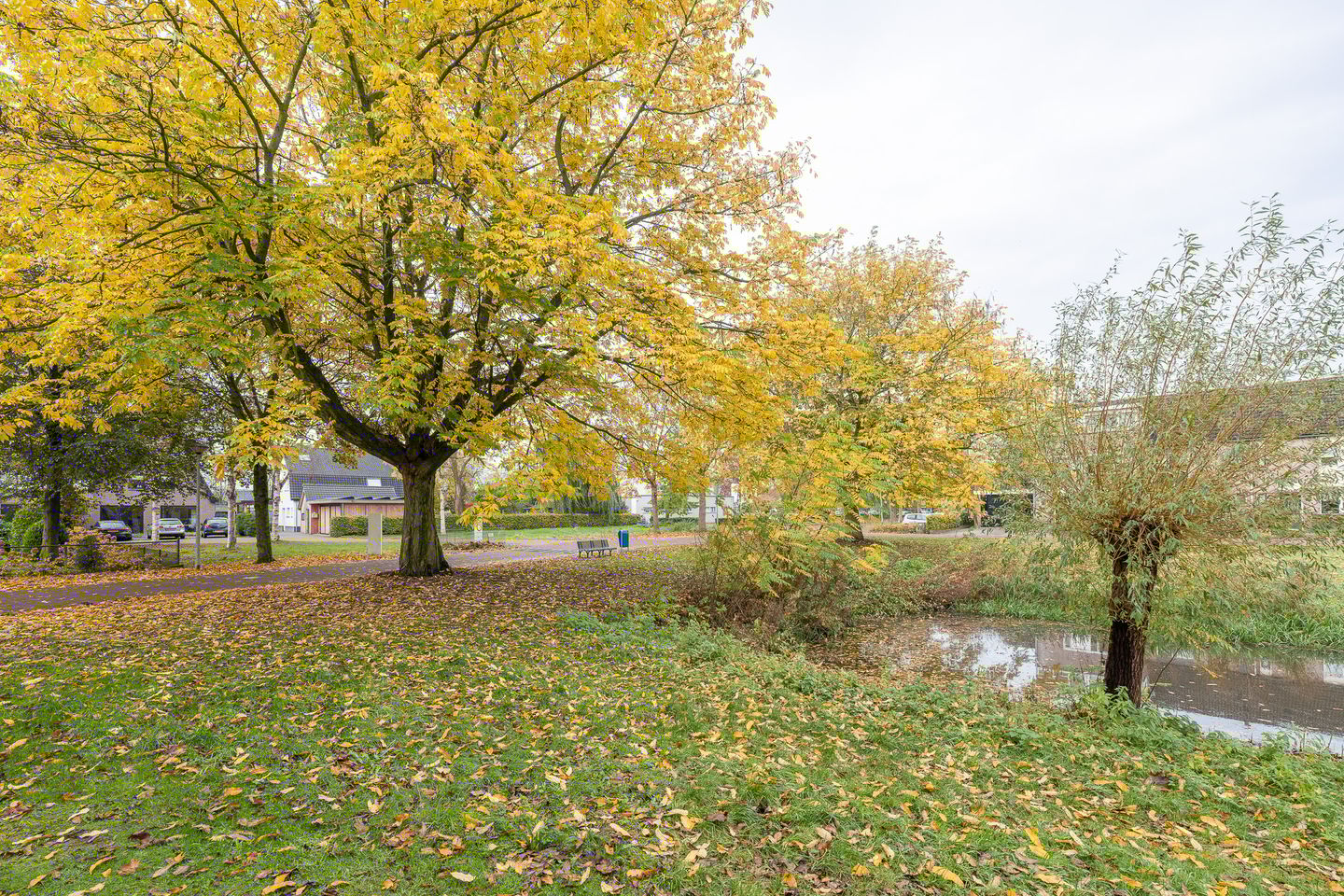 Photo 25 of Tarweakker 26