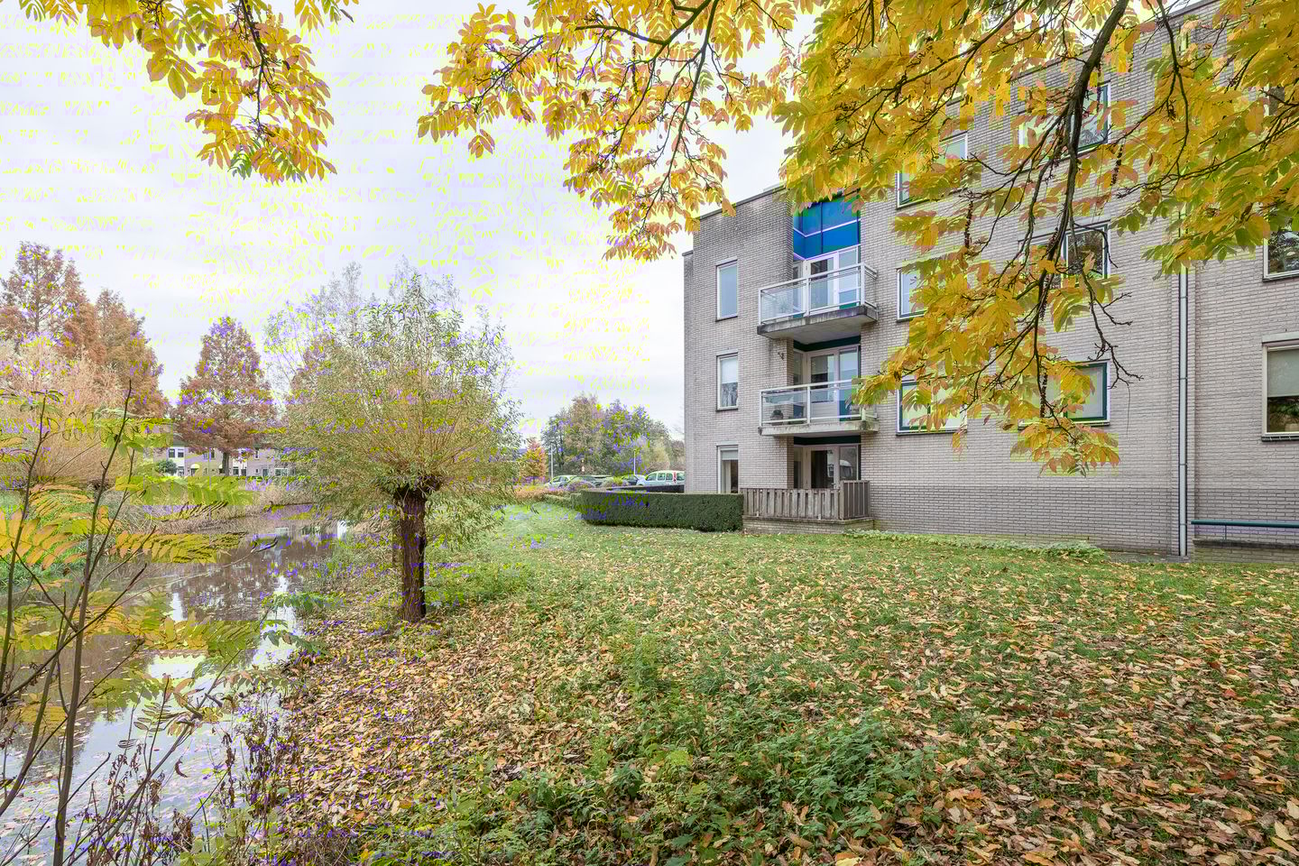 Photo 35 of Tarweakker 26