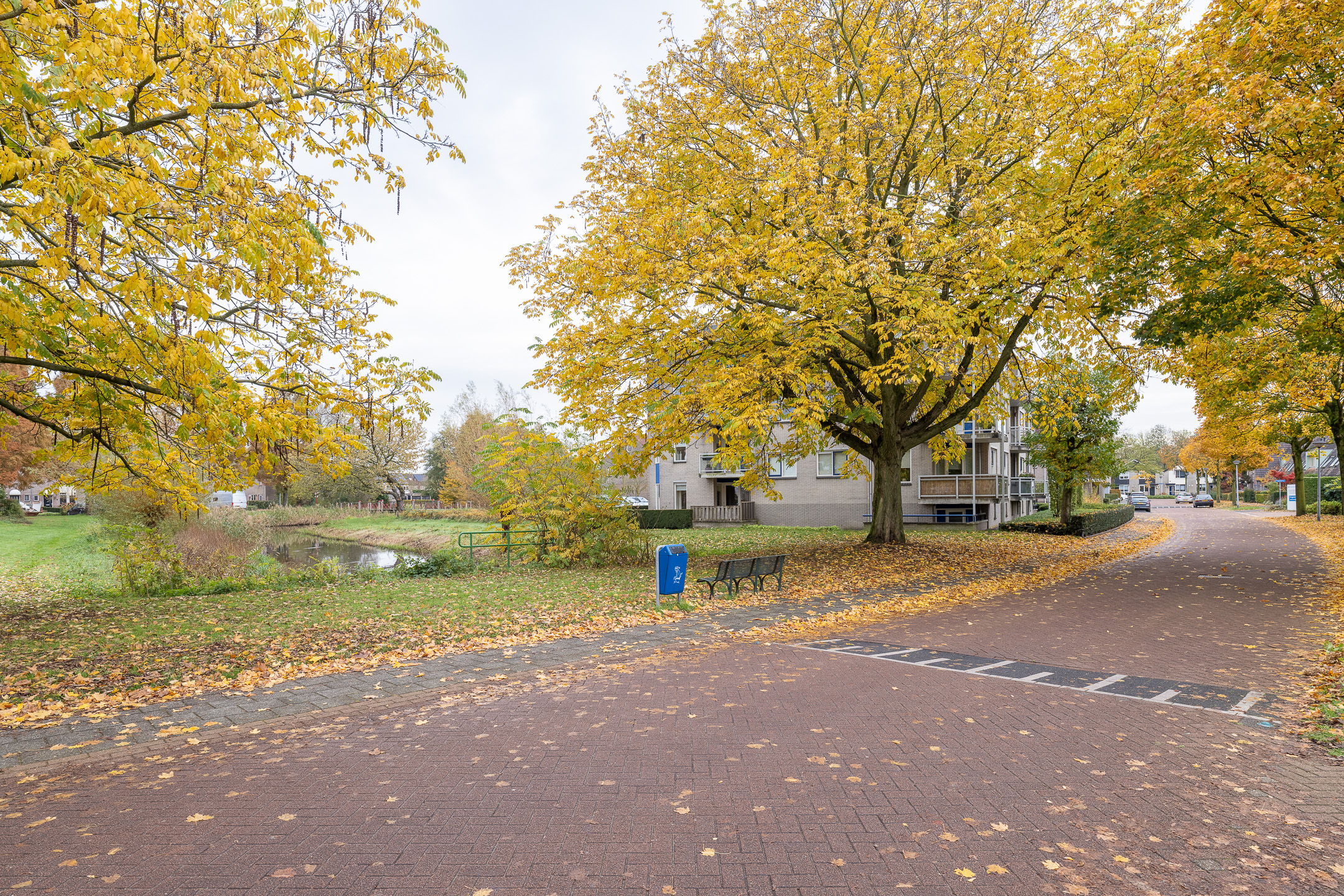 Photo 36 of Tarweakker 26