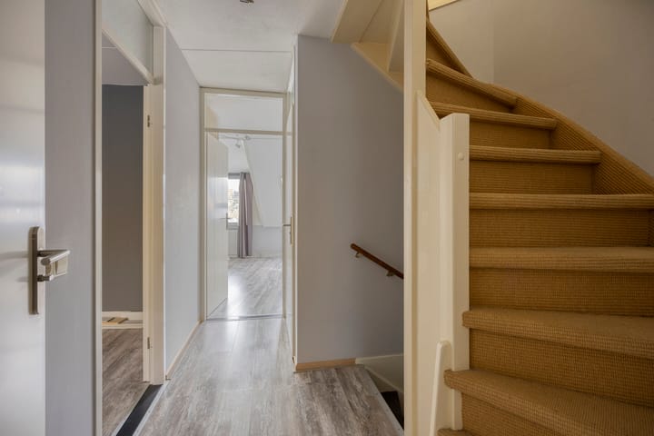 Photo 16 of Akelei 16