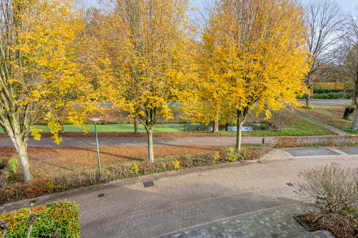 Photo 33 of Akelei 16