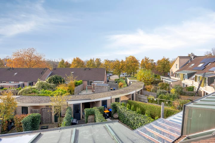 Photo 34 of Akelei 16