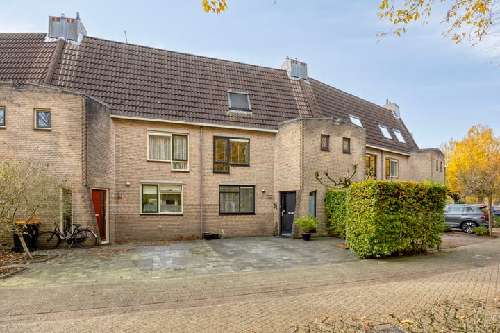 Photo 35 of Akelei 16