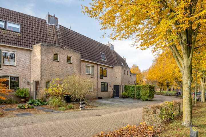 Photo 36 of Akelei 16