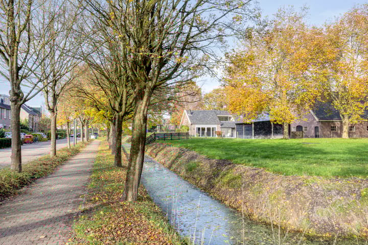 Photo 38 of Akelei 16