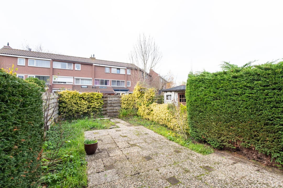 Foto 41 van Diamant 40